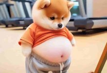 10月16日 | 韩国APPID实时更新,2025年最新韩国苹果账号密码大全 - 果宝分享