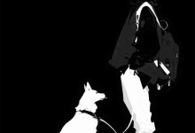 03月05日韩国Apple ID账号密码整理 | 2026最新可用账号 - 果宝分享